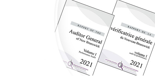 2021 Auditor General Report
